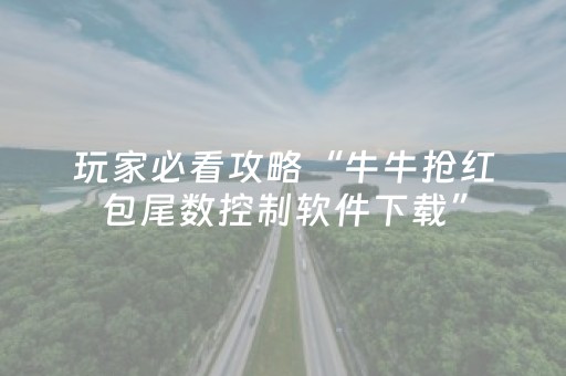 大神教教你“微信小程序锄大地怎么让系统给你发好牌”（攻略插件)