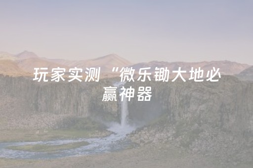 玩家实测“微乐锄大地必赢神器（助赢神器通用版）