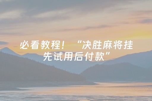 必看教程！“决胜麻将挂先试用后付款”（详细辅助教程）-哔哩哔哩