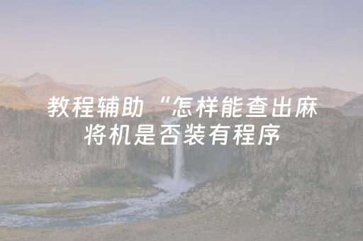 教程辅助“怎样能查出麻将机是否装有程序（专用辅牌神器免安装）