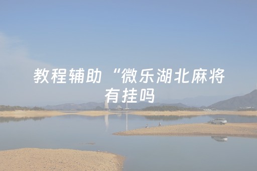 教程辅助“微乐湖北麻将有挂吗（专用辅牌神器免安装）