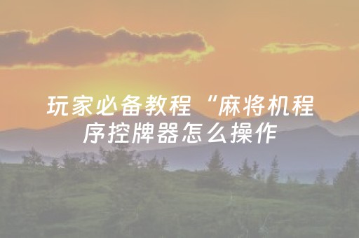 玩家必备教程“麻将机程序控牌器怎么操作（专用辅牌神器免安装）