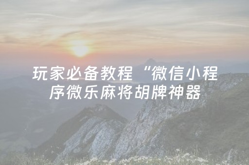 玩家必备教程“微信小程序微乐麻将胡牌神器（专用辅牌神器免安装）