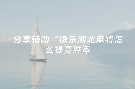 分享辅助“微乐湖北麻将怎么提高胜率（助赢神器通用版）