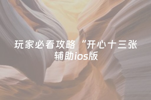 玩家必看攻略“开心十三张辅助ios版（助赢神器通用版）