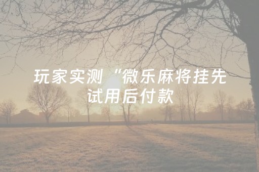 玩家实测“微乐麻将挂先试用后付款（助赢神器通用版）