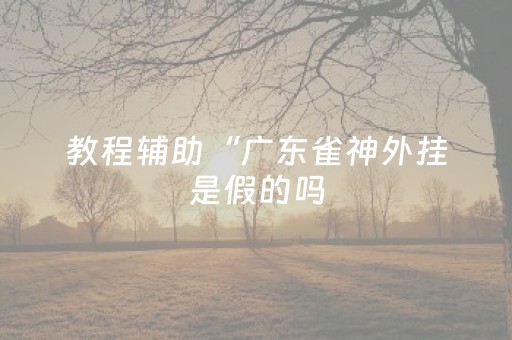 教程辅助“广东雀神外挂是假的吗（助赢神器通用版）