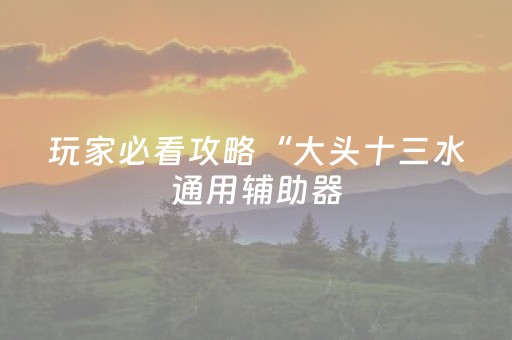 玩家必看攻略“大头十三水通用辅助器（专用辅牌神器免安装）