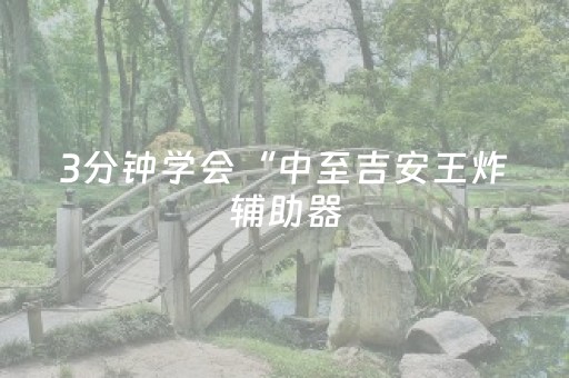 3分钟学会“中至吉安王炸辅助器（专用辅牌神器免安装）