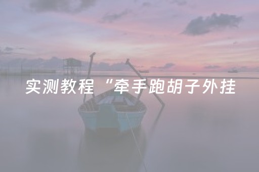 实测教程“牵手跑胡子外挂（专用辅牌神器免安装）
