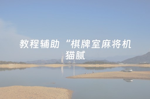 教程辅助“棋牌室麻将机猫腻（专用辅牌神器免安装）