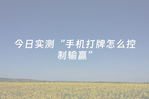 今日实测“手机打牌怎么控制输赢”（详细辅助教程）-哔哩哔哩