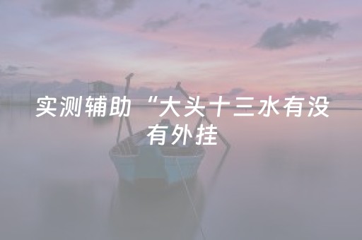 实测辅助“大头十三水有没有外挂（助赢神器通用版）