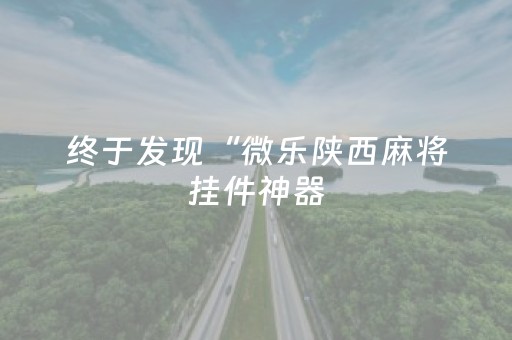终于发现“微乐陕西麻将挂件神器（专用辅牌神器免安装）
