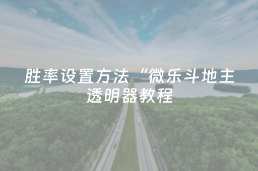 胜率设置方法“微乐斗地主透明器教程（专用辅牌神器免安装）