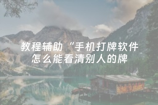 教程辅助“手机打牌软件怎么能看清别人的牌（助赢神器通用版）