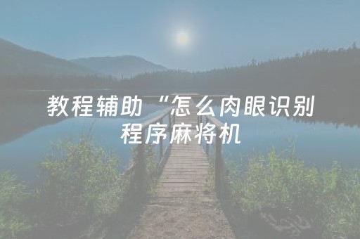 教程辅助“怎么肉眼识别程序麻将机（专用辅牌神器免安装）