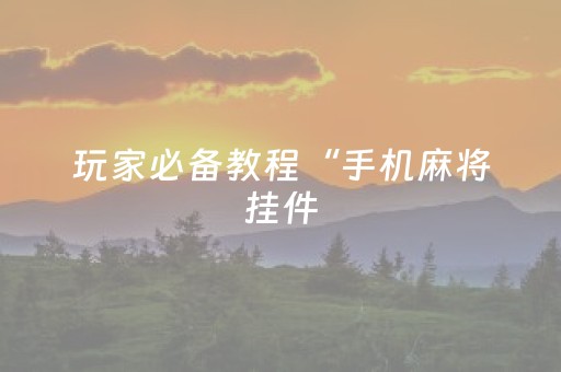 玩家必备教程“手机麻将挂件（助赢神器通用版）