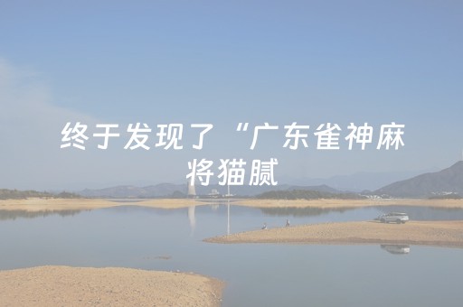 终于发现了“广东雀神麻将猫腻（专用辅牌神器免安装）