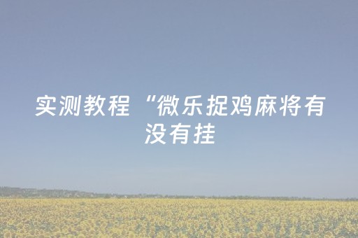 实测教程“微乐捉鸡麻将有没有挂（专用辅牌神器免安装）