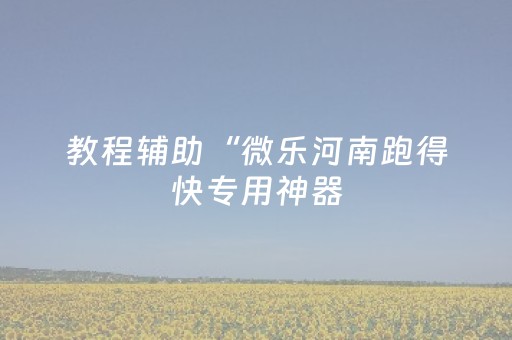 教程辅助“微乐河南跑得快专用神器（专用辅牌神器免安装）