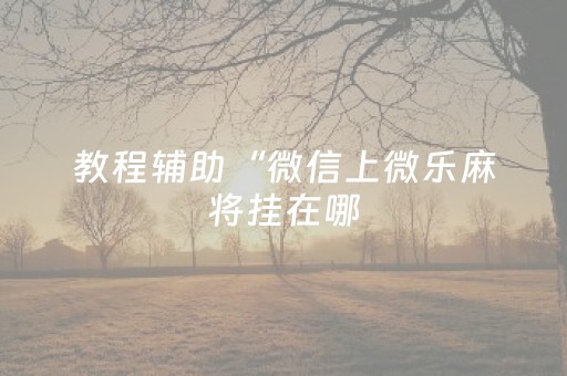 教程辅助“微信上微乐麻将挂在哪（专用辅牌神器免安装）