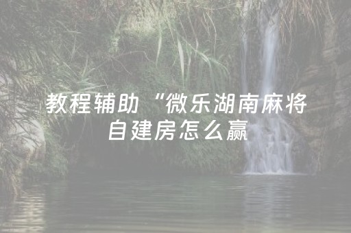教程辅助“微乐湖南麻将自建房怎么赢（助赢神器通用版）