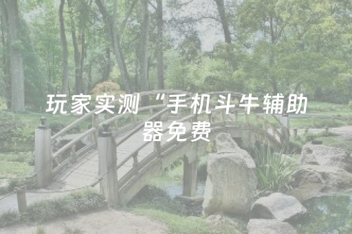 玩家实测“手机斗牛辅助器免费（助赢神器通用版）