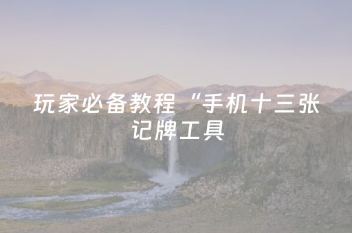 玩家必备教程“手机十三张记牌工具（助赢神器通用版）