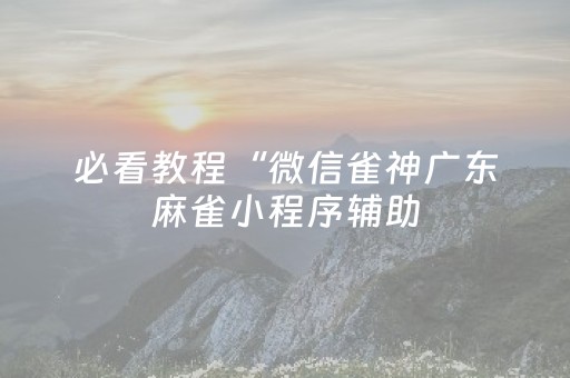必看教程“微信雀神广东麻雀小程序辅助（专用辅牌神器免安装）
