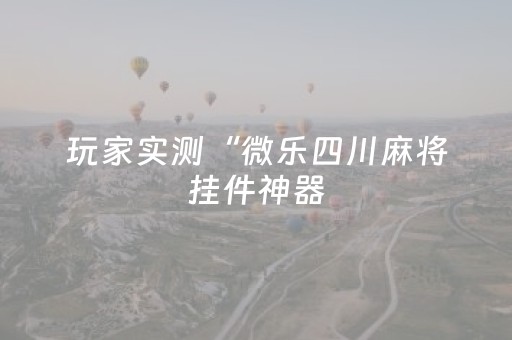 玩家实测“微乐四川麻将挂件神器（专用辅牌神器免安装）