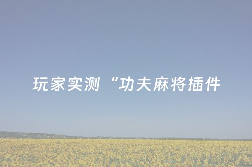 玩家实测“功夫麻将插件（专用辅牌神器免安装）
