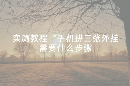实测教程“手机拼三张外挂需要什么步骤（专用辅牌神器免安装）