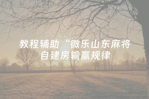 教程辅助“微乐山东麻将自建房输赢规律（专用辅牌神器免安装）