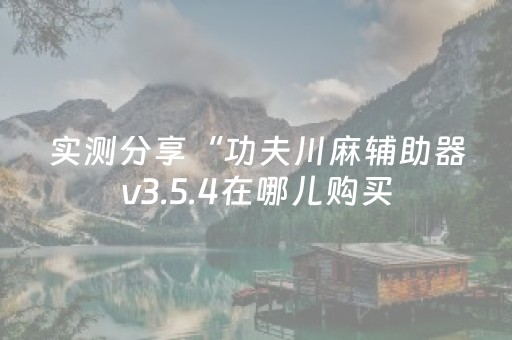 实测分享“功夫川麻辅助器v3.5.4在哪儿购买（专用辅牌神器免安装）