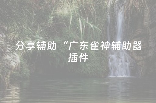分享辅助“广东雀神辅助器插件（专用辅牌神器免安装）