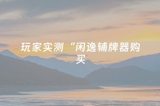 玩家实测“闲逸辅牌器购买（助赢神器通用版）