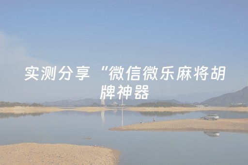 实测分享“微信微乐麻将胡牌神器（助赢神器通用版）