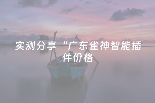 实测分享“广东雀神智能插件价格（助赢神器通用版）