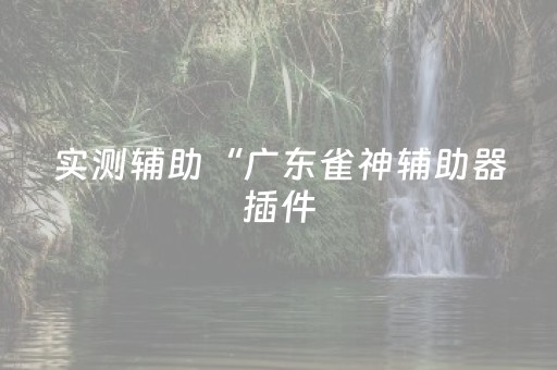 实测辅助“广东雀神辅助器插件（专用辅牌神器免安装）