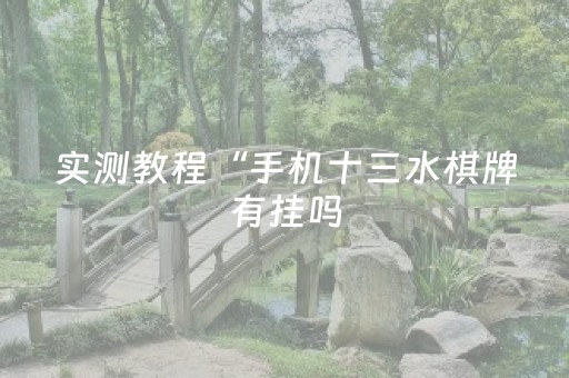 实测教程“手机十三水棋牌有挂吗（助赢神器通用版）