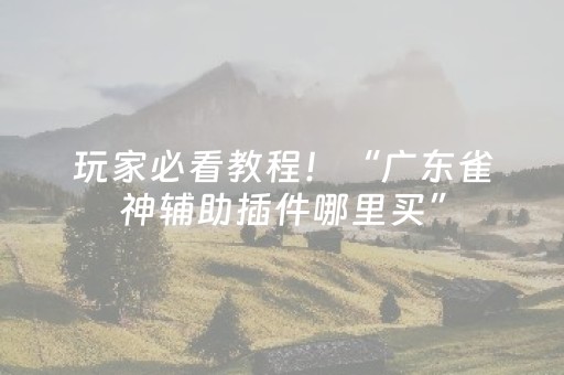 玩家必看教程！“广东雀神辅助插件哪里买”（详细开挂教程）-哔哩哔哩
