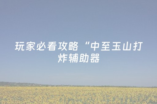 玩家必看攻略“中至玉山打炸辅助器（助赢神器通用版）