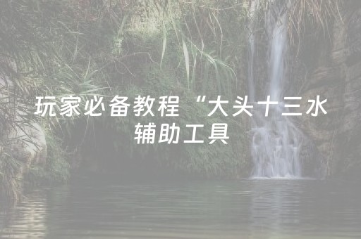 玩家必备教程“大头十三水辅助工具（助赢神器通用版）