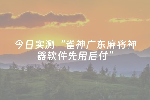 今日实测“雀神广东麻将神器软件先用后付”（详细开挂教程）-哔哩哔哩