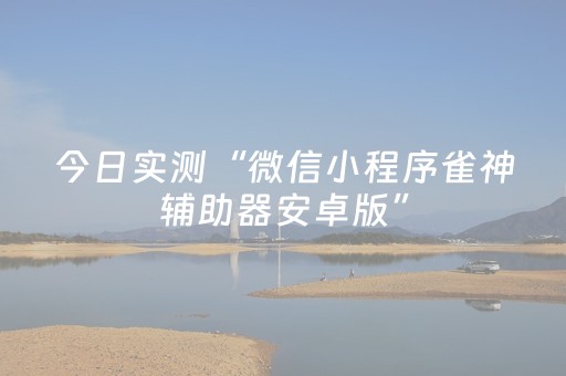 今日实测“微信小程序雀神辅助器安卓版”（详细开挂教程）-哔哩哔哩