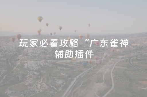 玩家必看攻略“广东雀神辅助插件（专用辅牌神器免安装）