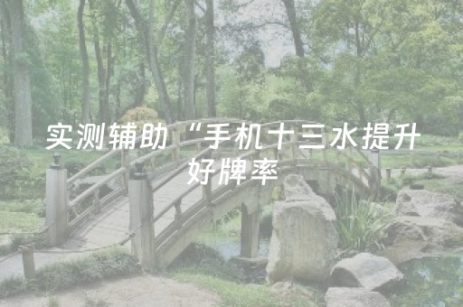 实测辅助“手机十三水提升好牌率（专用辅牌神器免安装）