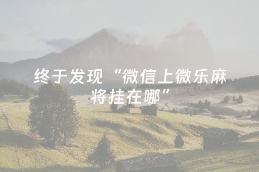 终于发现“微信上微乐麻将挂在哪”（详细透视教程）-哔哩哔哩