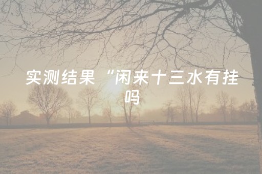 实测结果“闲来十三水有挂吗（专用辅牌神器免安装）
